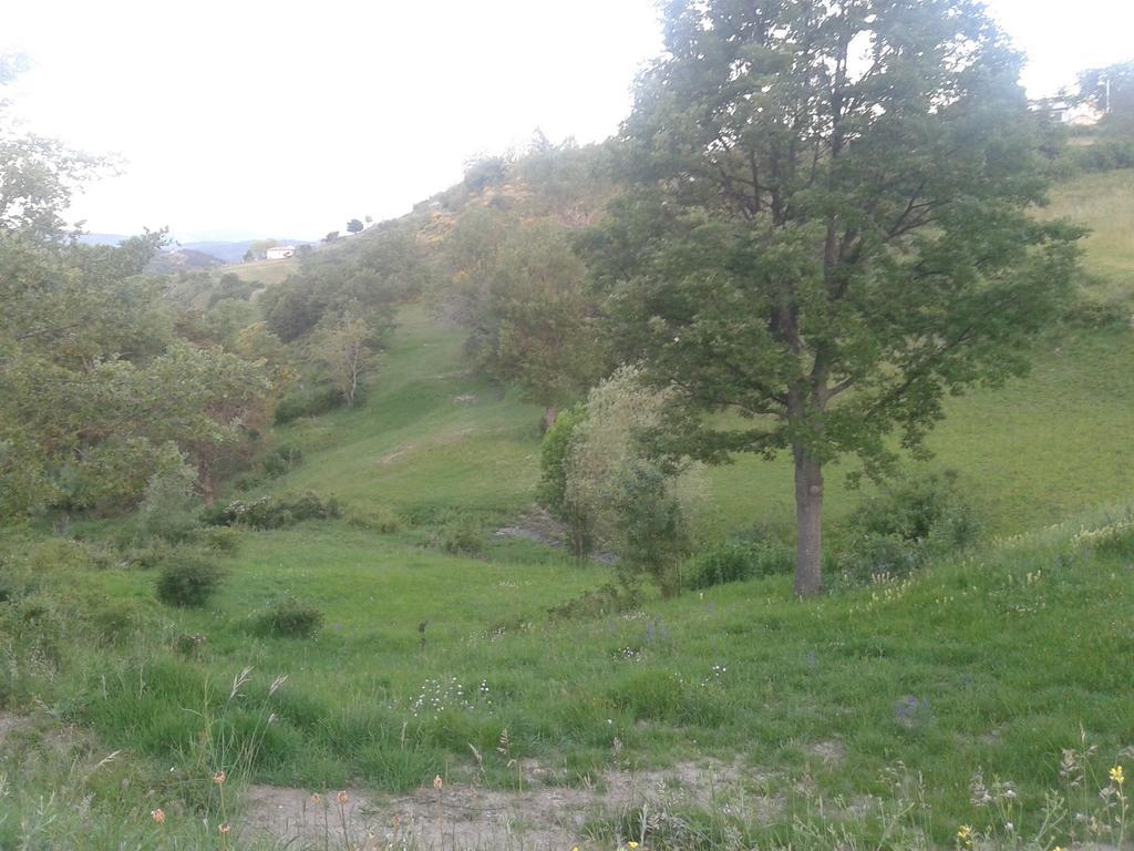 Ferme De Sejour Rebuffel Farm stay La Roque-Esclapon