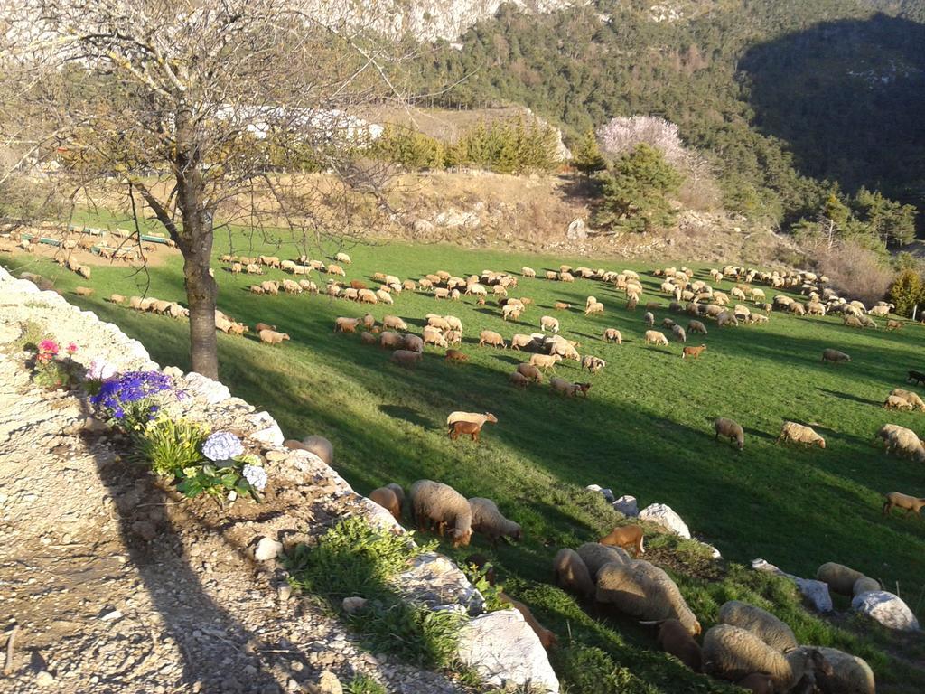 Ferme De Sejour Rebuffel *