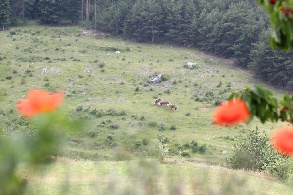 Farm stay Ferme De Sejour Rebuffel