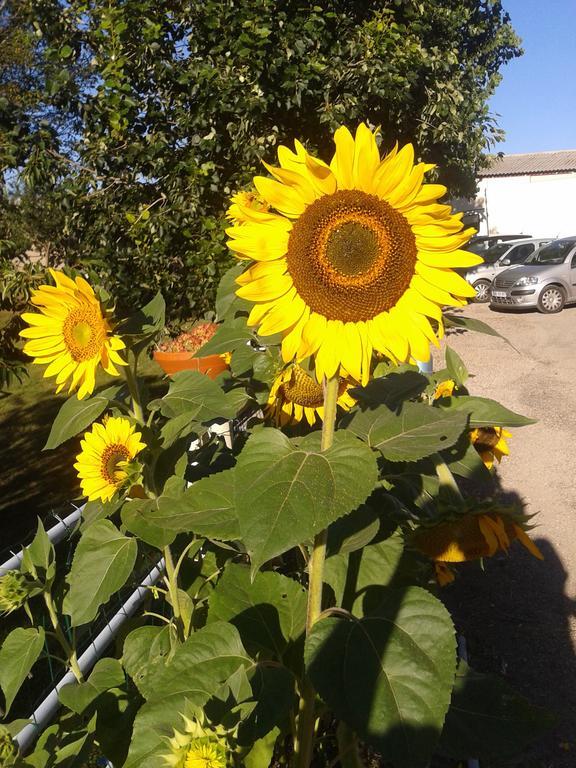 Farm stay Ferme De Sejour Rebuffel La Roque-Esclapon