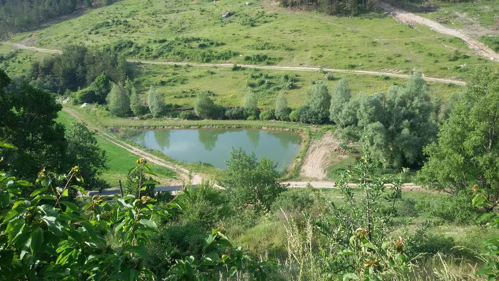 Farm stay Ferme De Sejour Rebuffel La Roque-Esclapon